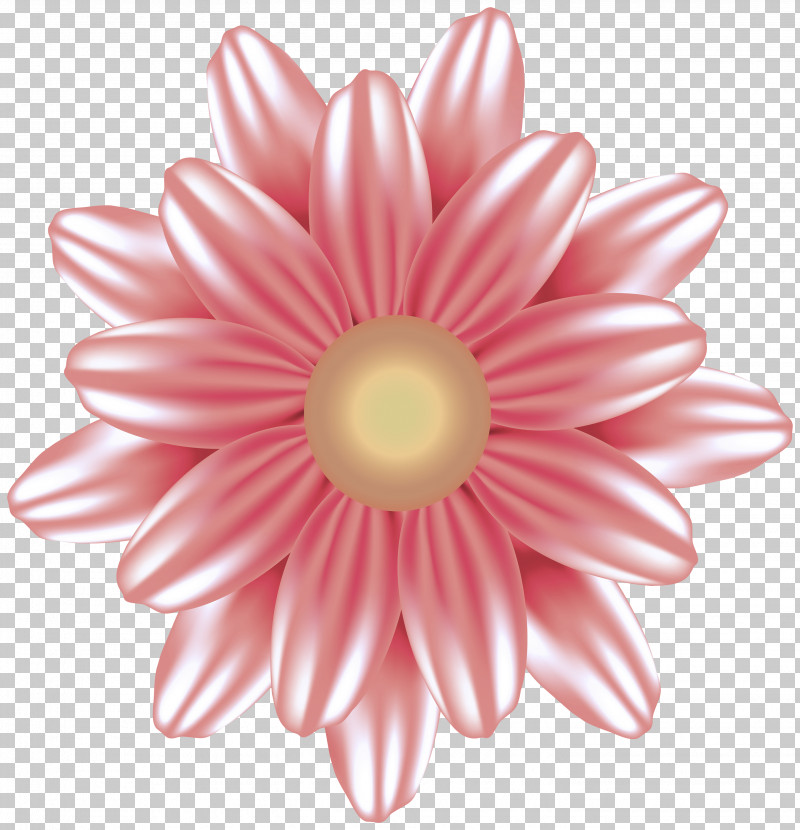 Transvaal Daisy Cut Flowers Flower Chrysanthemum Petal PNG, Clipart, Biology, Chrysanthemum, Closeup, Cut Flowers, Dahlia Free PNG Download