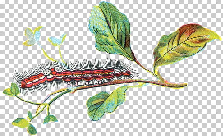 Caterpillar The Secret Of Childhood Yellow-tail Sensitive Periods PNG, Clipart, Animals, Cartoon Caterpillar, Cat 988h Wheel Loader Caterpillar, Child, English Free PNG Download