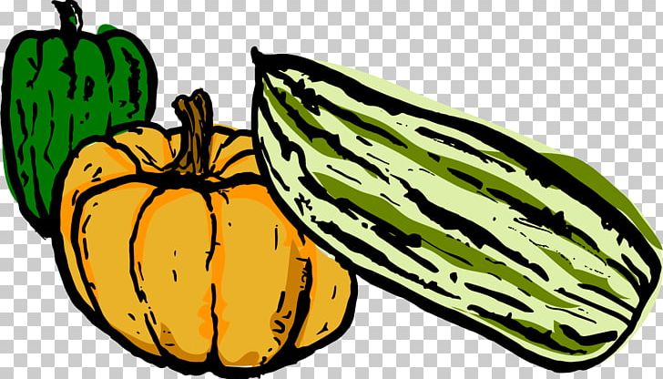 Pumpkin Gourd Calabaza Vegetarian Cuisine Melon PNG, Clipart, Butterfly, Calabaza, Commodity, Cucumber Gourd And Melon Family, Cucurbita Free PNG Download