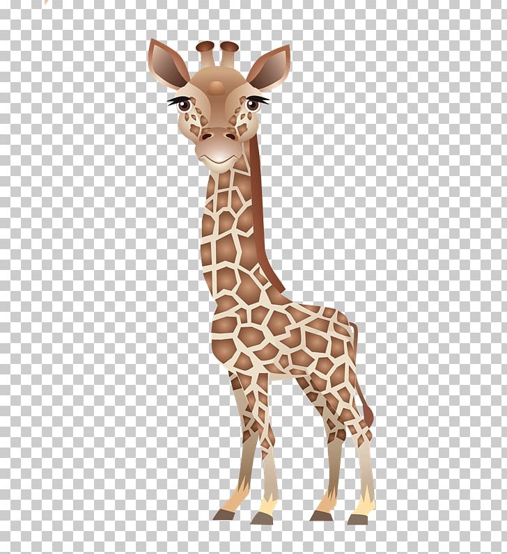 Baby Giraffe Leopard About Giraffes Northern Giraffe PNG, Clipart, About Giraffes, Animal, Animal Figure, Baby Giraffe, Deer Free PNG Download