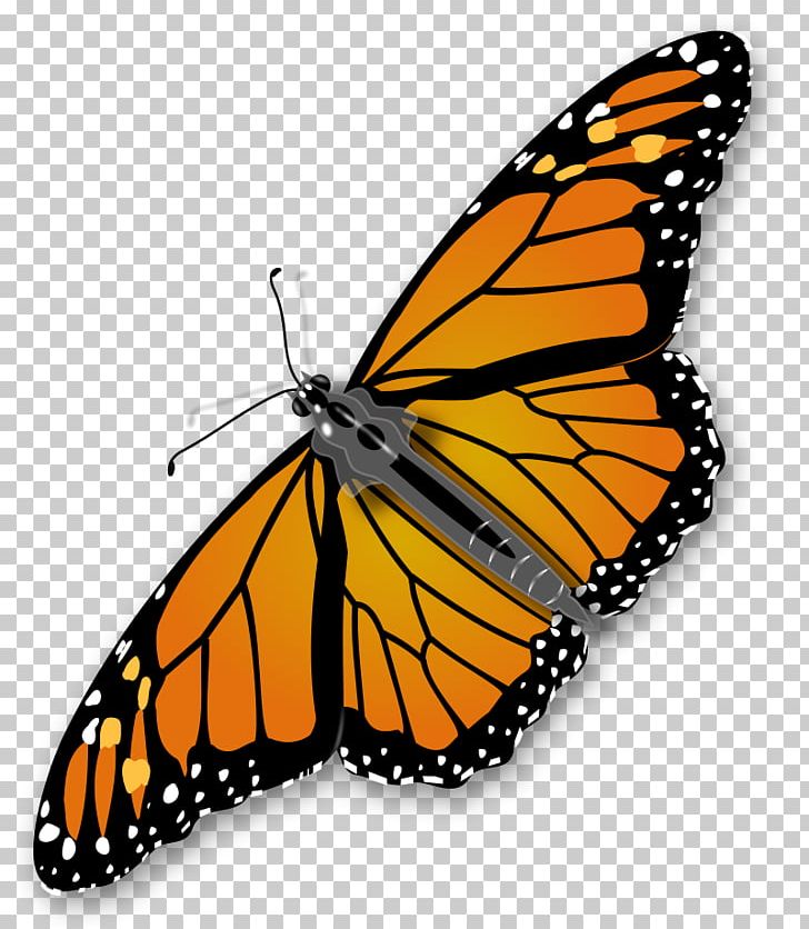 Monarch Butterfly Insect PNG, Clipart, Animal Migration, Arthropod, Brush Footed Butterfly, Butterfly, Free Content Free PNG Download