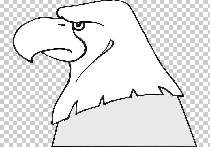 Bald Eagle Bird Drawing PNG, Clipart, Angle, Animals, Bald Eagle, Bird, Black Free PNG Download