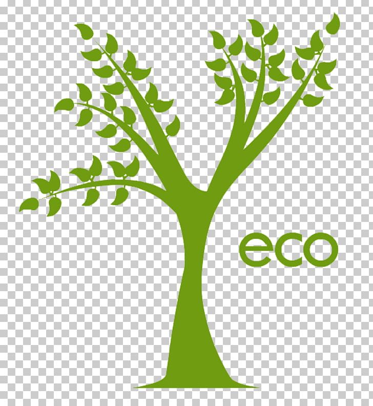 Branch Tree Shutterstock Illustration PNG, Clipart, Area, Branch, Christmas Tree, Clip Art, Ecology Free PNG Download