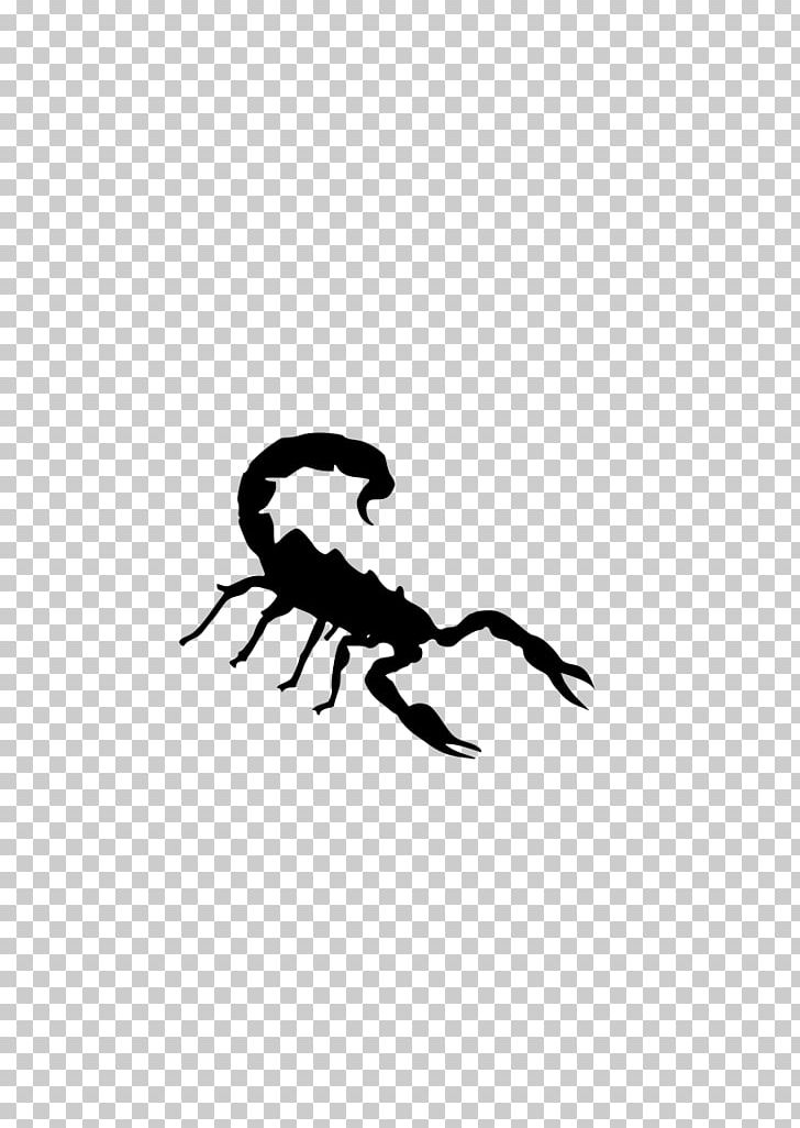 Scorpion PNG, Clipart, Arthropod, Artwork, Black, Black And White, Download Free PNG Download