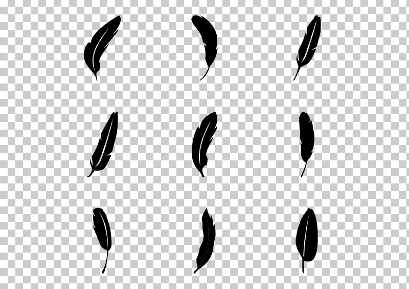 Feather PNG, Clipart, Blackandwhite, Feather, Leaf, Plant, Wing Free PNG Download