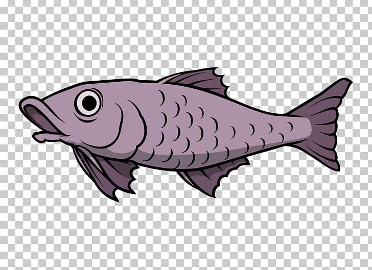 Catfish Fishing PNG, Clipart, Animals, Animation, Bony Fish, Catfish, Common Free PNG Download