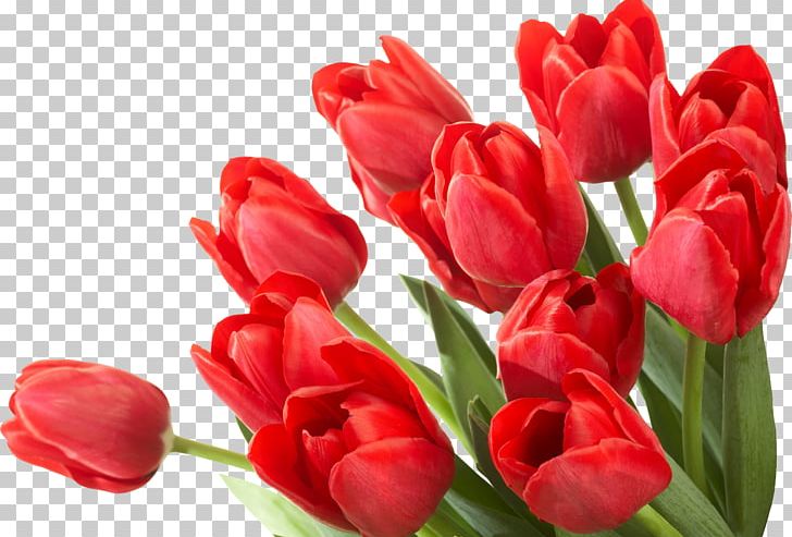 Flower Tulip PNG, Clipart, Bouquet, Bouquet Of Flowers, Cut Flowers, Desktop Wallpaper, Dots Per Inch Free PNG Download