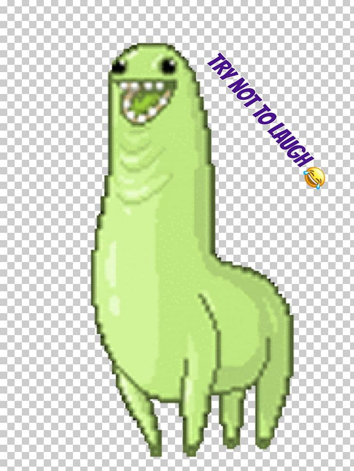 GIF Llama Tenor Gfycat Giphy PNG, Clipart, Animal, Animated Film, Blog, Desktop Wallpaper, Fictional Character Free PNG Download