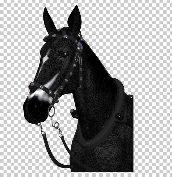 Halter Pony Mustang Stallion Rein PNG, Clipart, Bit, Black And White, Bridle, Halter, Horse Free PNG Download