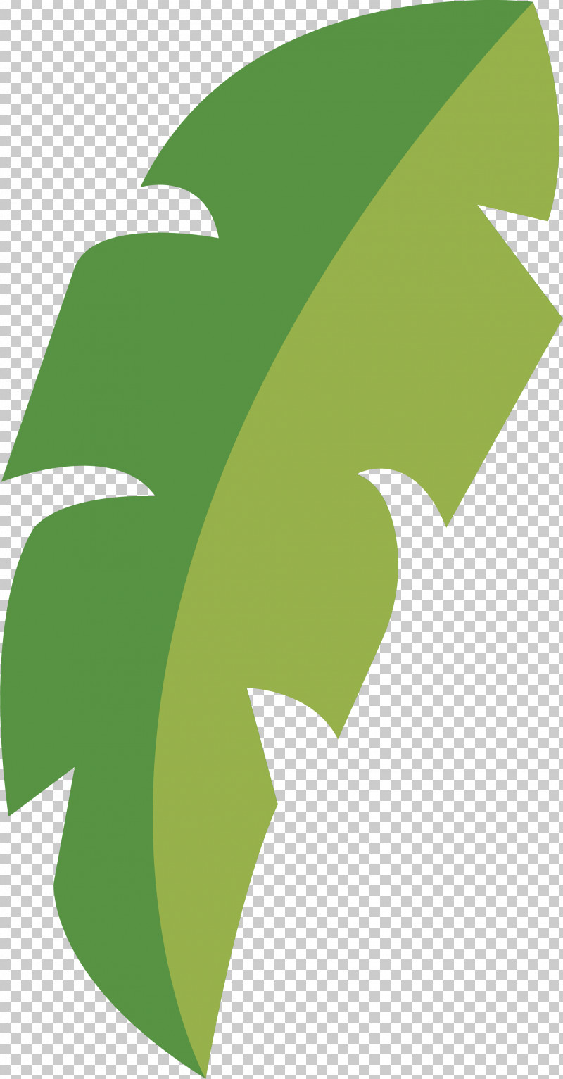 Leaf PNG, Clipart, Angle, Biology, Green, Leaf, Logo Free PNG Download