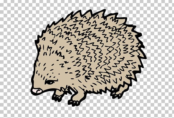 Hedgehog Drawing PNG, Clipart, Animals, Bizarre, Black And White, Carnivoran, Culture Free PNG Download