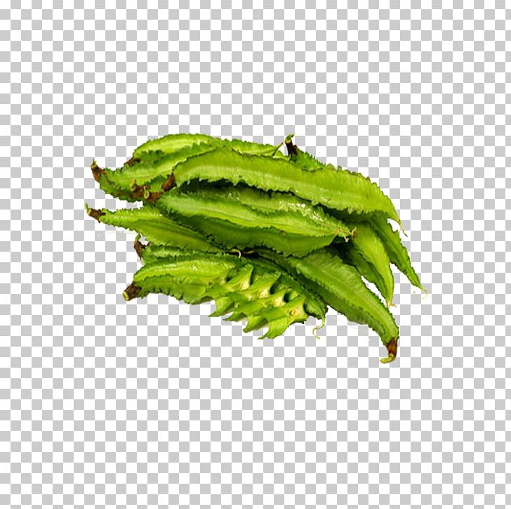 Winged Bean Leaf Vegetable Edamame PNG, Clipart, Adzuki Bean, Bean, Black Beans, Canning, Dried Fruit Free PNG Download