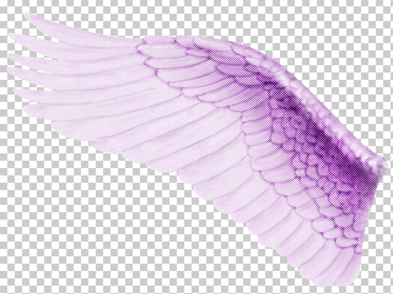 Feather PNG, Clipart, Feather, Lilac, Pink, Purple, Violet Free PNG Download