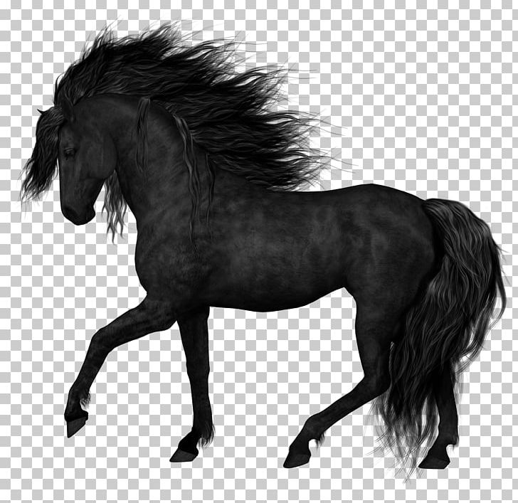 Friesian Horse Stallion Foal Black PNG, Clipart, Animals, Black, Black And White, Bridle, Canter And Gallop Free PNG Download