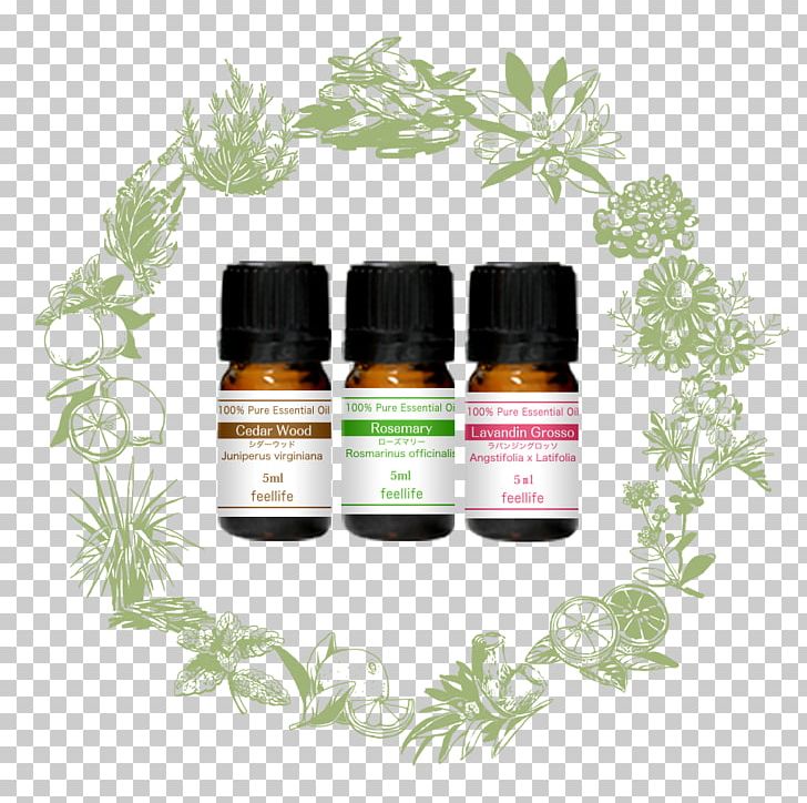 Herbalism Flavor Essential Oil Fragrance Oil PNG, Clipart, Aromatherapy, Essential Oil, Family, Flavor, Fragrance Oil Free PNG Download