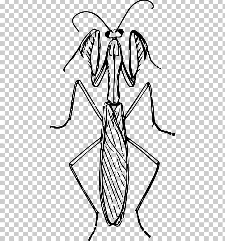Mantis PNG, Clipart, Angle, Animal, Artwork, Black And White, Cartoon Free PNG Download