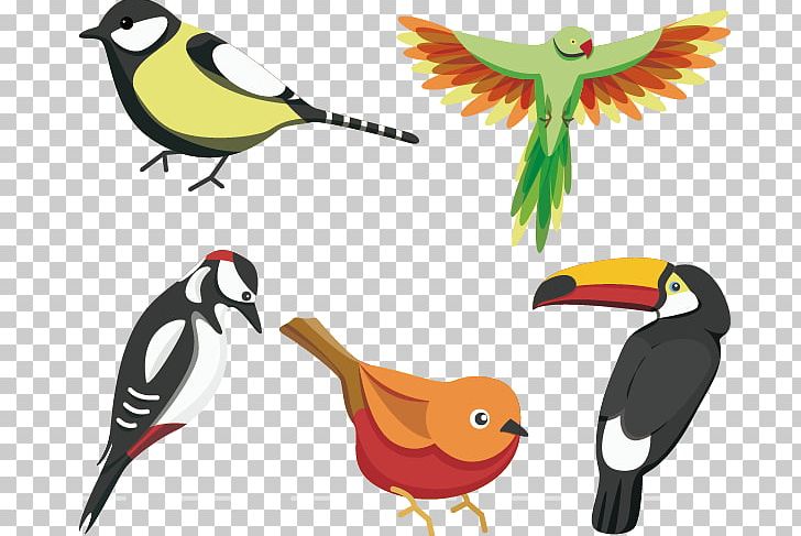 Bird House Sparrow Parrot PNG, Clipart, Animal, Animals, Artwork, Beak, Bird Free PNG Download