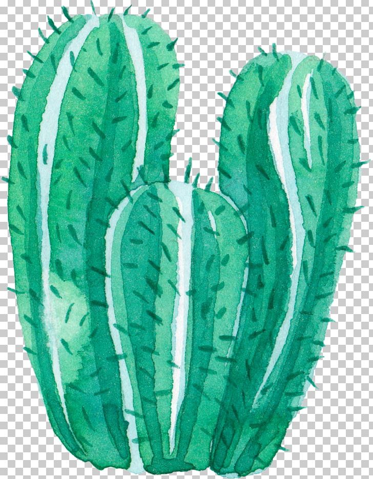 Cactaceae Watercolor Painting Leaf PNG, Clipart, Background Green, Cactaceae, Cactus, Creative, Creative Cactus Free PNG Download