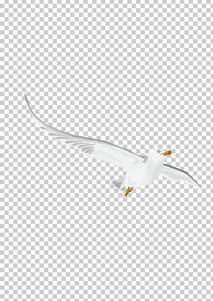 Euclidean Drawing PNG, Clipart, Angle, Animal, Animation, Bird, Cartoon Free PNG Download