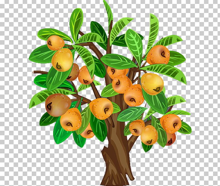 Fruit Tree Java Apple PNG, Clipart, Branch, Decoration, Download, Drawing, Encapsulated Postscript Free PNG Download