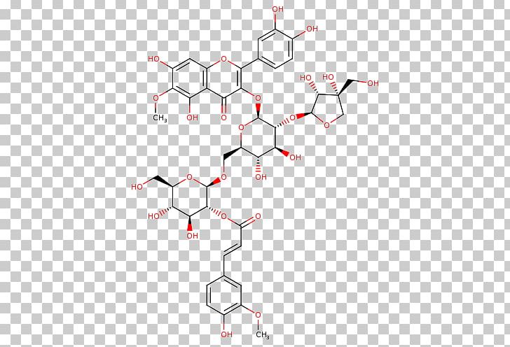 Hsp70 Hsp27 HSF1 Chaperone DnaJ PNG, Clipart, Angle, Area, C 43, Carcinogenesis, Cell Free PNG Download