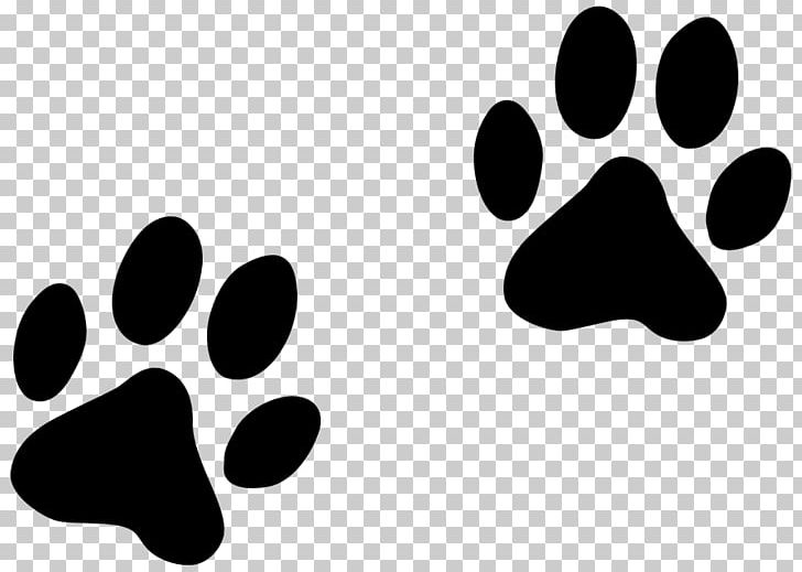 Paw Dog Cat Pet PNG, Clipart, Animals, Animal Track, Black, Black And White, Cat Free PNG Download