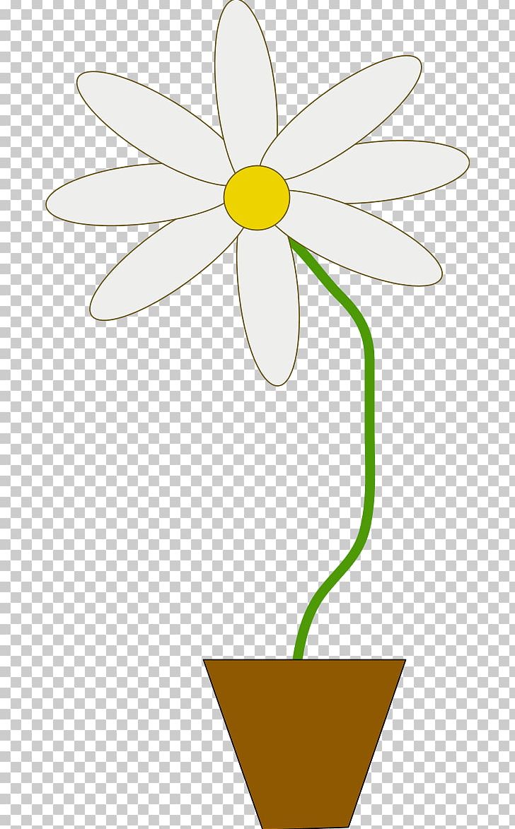 Leaf Symmetry Plant Stem PNG, Clipart, Area, Art, Artwork, Common Daisy, Computer Icons Free PNG Download