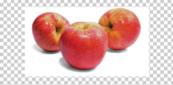 McIntosh Honeycrisp Apple Gala PNG, Clipart, Accessory Fruit, Apple, Braeburn, Cider Apple, Cortland Free PNG Download