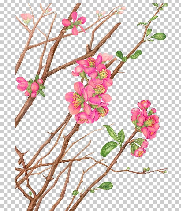 Watercolour Flowers Watercolor Landscape Watercolor Painting Botanical Illustration PNG, Clipart, Art, Beautiful, Botany, Branch, Flower Free PNG Download