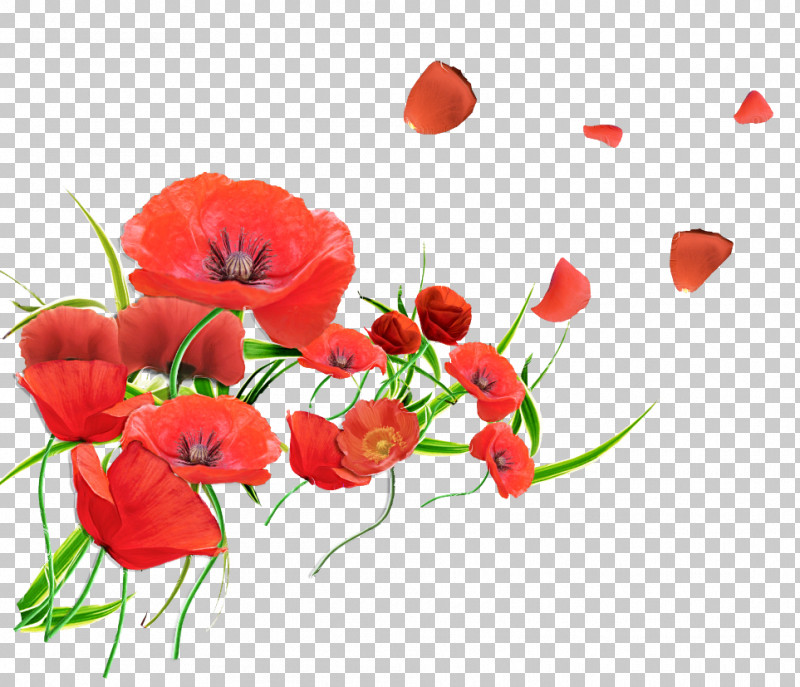 Floral Design PNG, Clipart, Coquelicot, Corn Poppy, Cut Flowers, Floral Design, Flower Free PNG Download