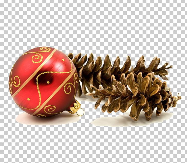 Christmas Decoration Christmas Ornament Christmas Tree Bombka PNG, Clipart, Balls, Bombka, Chris, Christmas, Christmas Balls Free PNG Download