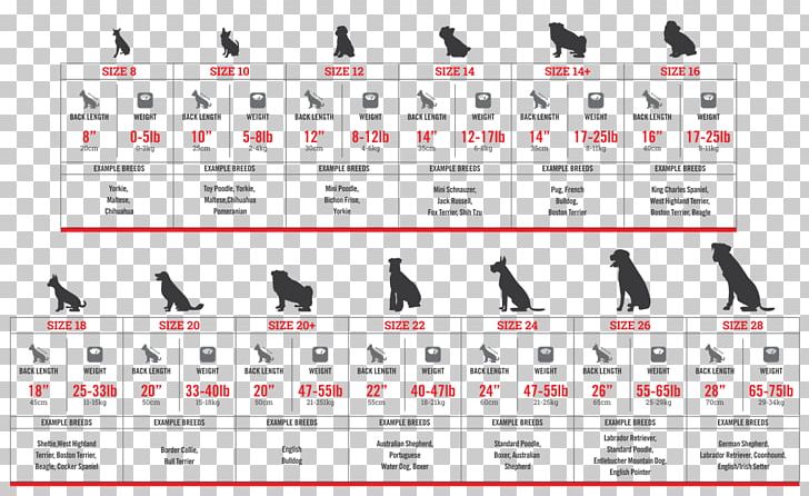 Dog Canada Hoodie Pet Parka PNG, Clipart, Angle, Animals, Canada, Clothing, Coat Free PNG Download