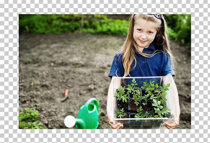 Gardening Child Container Garden Garden Tool PNG, Clipart, Child, Companion Planting, Container Garden, Environmentally Friendly, Flowerpot Free PNG Download