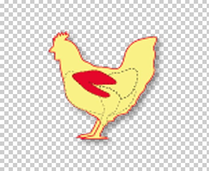 Rooster Chicken As Food Buffalo Wing Chicken As Food PNG, Clipart, Animals, Beak, Bird, Buffalo Wing, Chicken Free PNG Download
