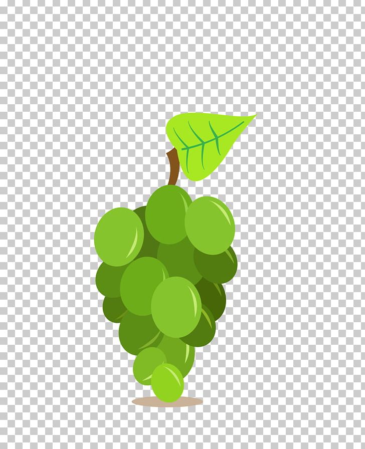 Vinho Verde Red Wine Vin Gris Oak PNG, Clipart, Background Green, Barile, Barrel, Bottle, Food Free PNG Download