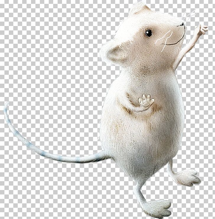 Computer Mouse Rat Fancy Mouse PNG, Clipart, Balloon Cartoon, Boy Cartoon, Cartoon, Cartoon Couple, Cartoon Eyes Free PNG Download