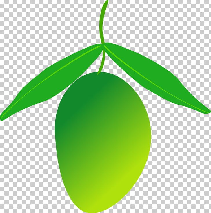 Fruit Mango PNG, Clipart, Background Green, Blue, Circle, Cyan, Download Free PNG Download