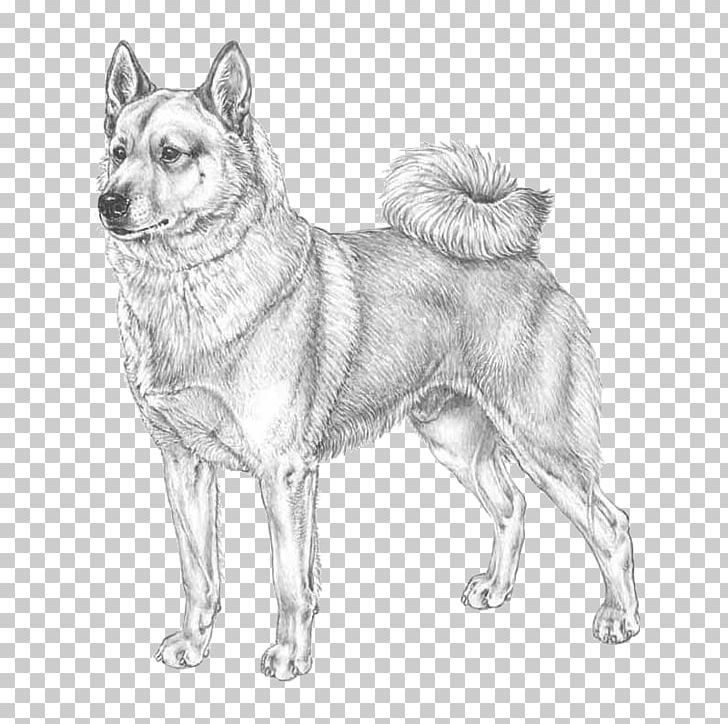 Norwegian Elkhound Norwegian Buhund Siberian Husky West Siberian Laika East Siberian Laika PNG, Clipart, Carnivoran, Dog Breed, Dog Breed Group, Dog Like Mammal, East Siberian Laika Free PNG Download