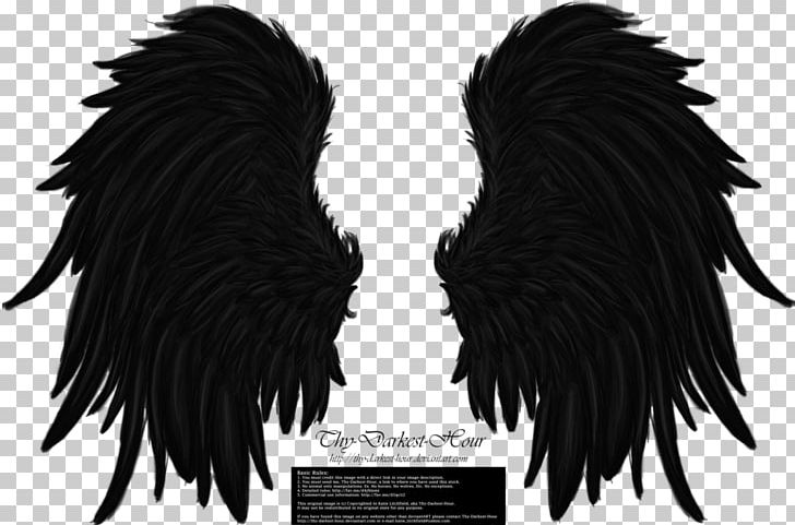 Wings Winged Cat Butterfly PNG, Clipart, Beak, Black, Black And White, Black Hair, Black Wings Free PNG Download