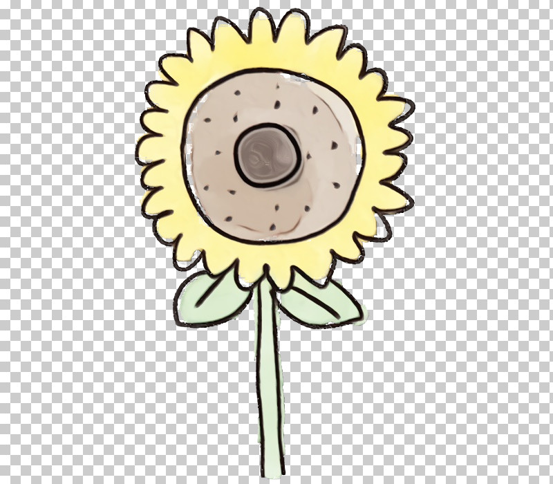 Sunflower PNG, Clipart, Cut Flowers, Flower, Paint, Plant, Smile Free PNG Download