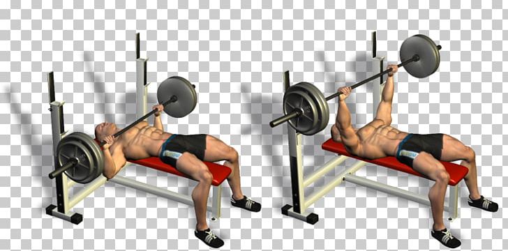 Exercise Bench Press Dumbbell Fitness Centre Bodybuilding PNG, Clipart,  Free PNG Download