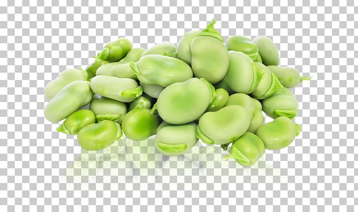 Lima Bean Broad Bean Vegetable Food PNG, Clipart, Bean, Beans, Broad, Broad Bean, Commodity Free PNG Download