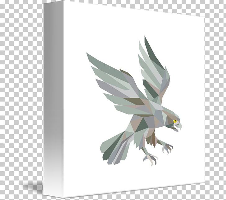 Low Poly Peregrine Falcon Png Clipart Animals Beak Bird