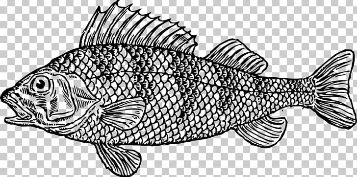 fish pond clipart black and white fish