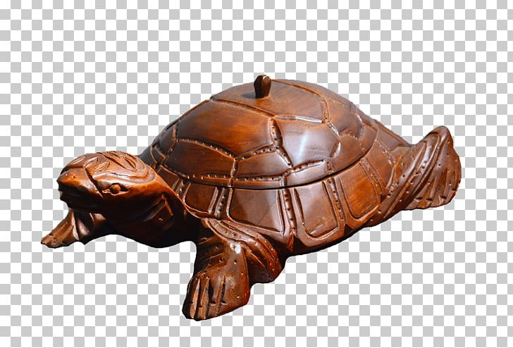 Box Turtles Tortoise Teak Wood Symbol PNG, Clipart, Advertising, Animal, Box Turtle, Box Turtles, Emydidae Free PNG Download
