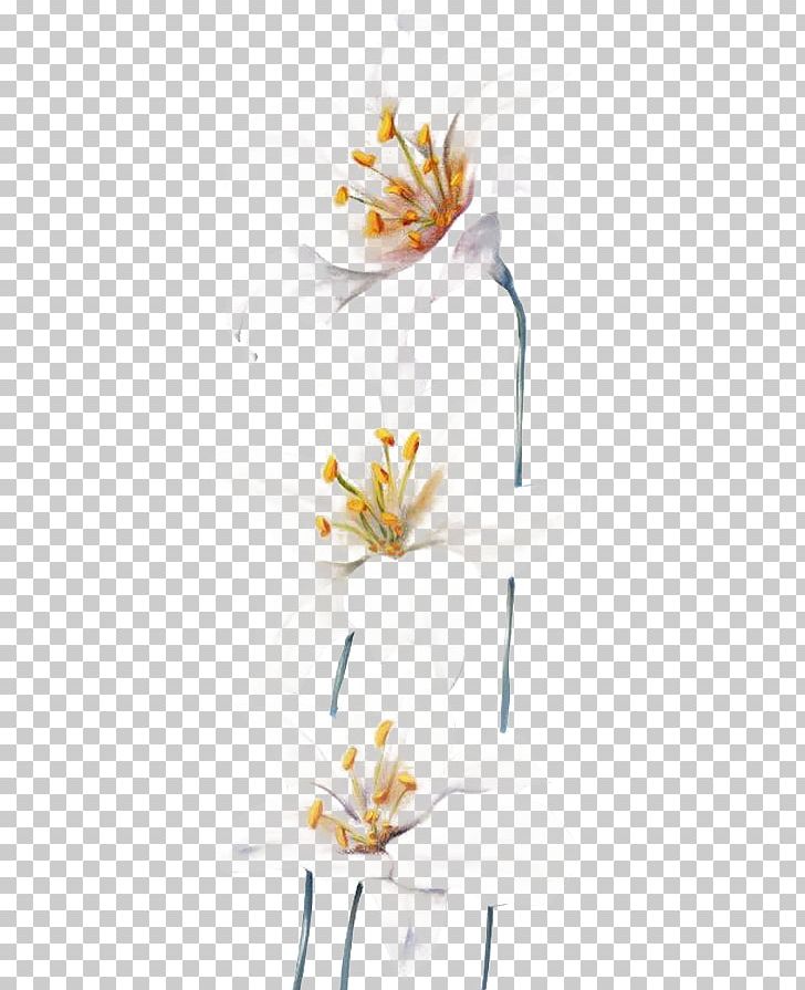 Lilium Flower Gratis PNG, Clipart, Branch, Computer Wallpaper, Cut Flowers, Designer, Euclidean Vector Free PNG Download