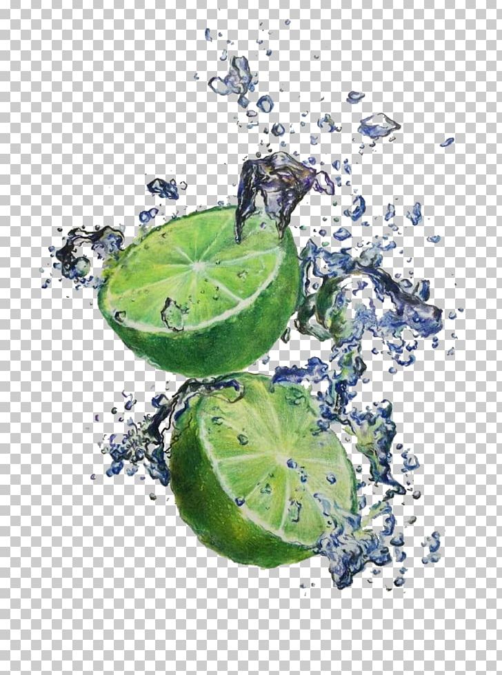 Watercolor Painting Drawing PNG, Clipart, Citrus, Colored Pencil, Computer Wallpaper, Dark, Dark Green Free PNG Download
