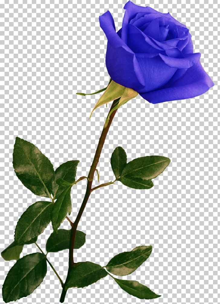 Flower Low Poly Art PNG, Clipart, Art, Art White, Blue Rose, Branch, Color Free PNG Download