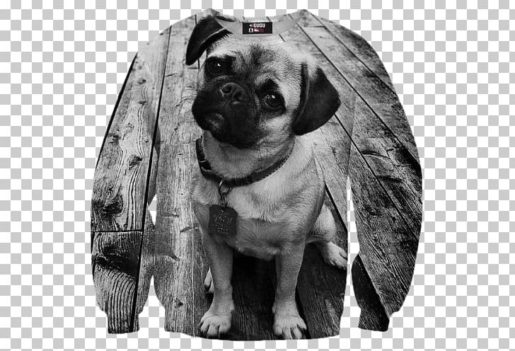 Pug T-shirt Puppy Cat Sweater PNG, Clipart, Black And White, Breed, Carnivoran, Cat, Clothing Free PNG Download