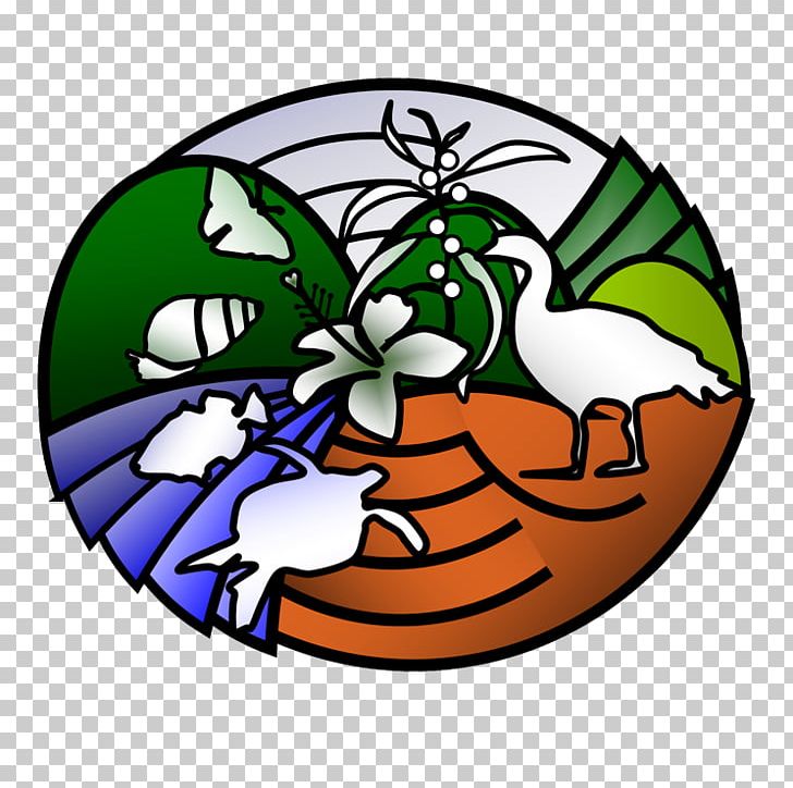 University Of Hawaii At Manoa Hawaiʻi Institute Of Marine Biology Student PNG, Clipart, Academic Department, Art, Artwork, Biology, Campus Road Free PNG Download